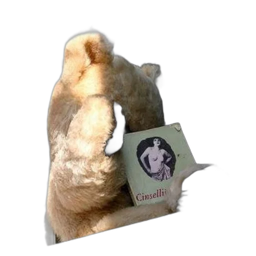 jacket, hat, animal, creature transparent PNG cut-out