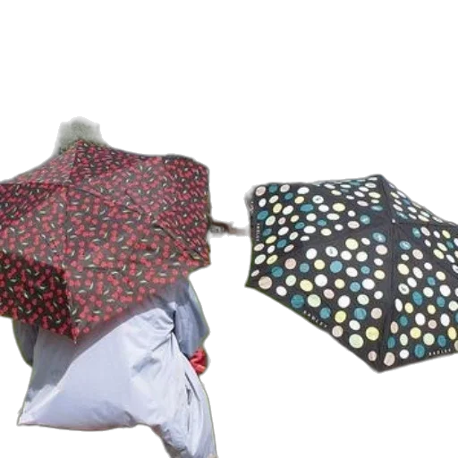 umbrella, jacket, two, people transparent PNG cut-out
