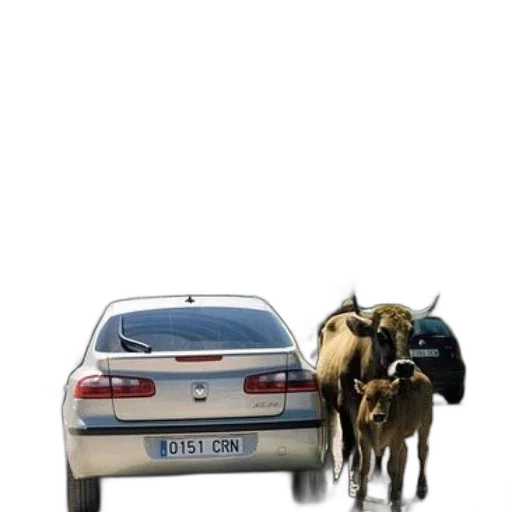 car, animal, photorealistic, concept art transparent PNG cut-out
