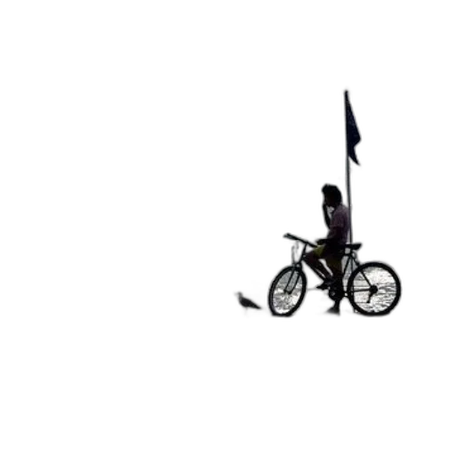 umbrella, weapon, staff, animal transparent PNG cut-out