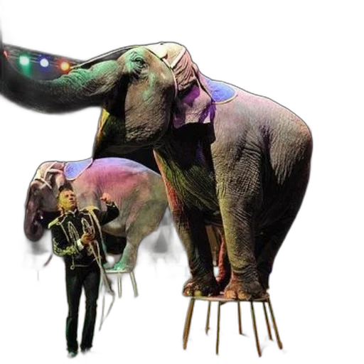 animal, creature, staff, umbrella transparent PNG cut-out