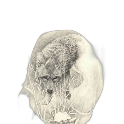 mask, face, crown, hair transparent PNG cut-out