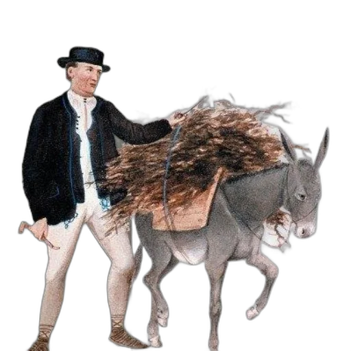 animal, hair, jacket, staff transparent PNG cut-out
