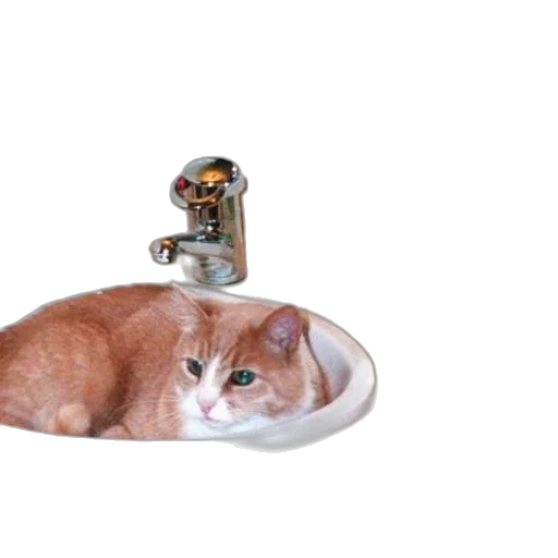 robot, animal, creature, jewelry transparent PNG cut-out