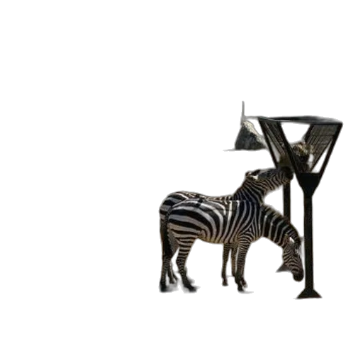 furniture, animal, jewelry, creature transparent PNG cut-out