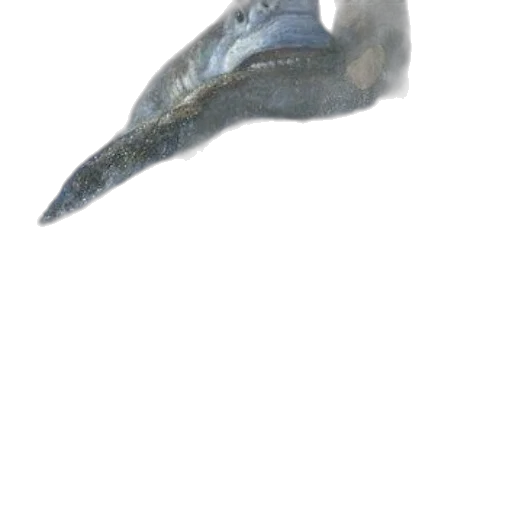 dragon, weapon, creature, animal transparent PNG cut-out