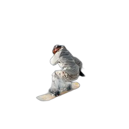 shoes, creature, animal, staff transparent PNG cut-out