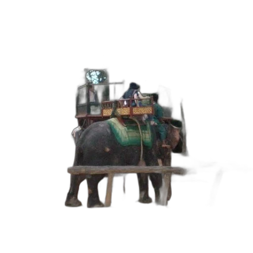 animal, furniture, creature, weapon transparent PNG cut-out