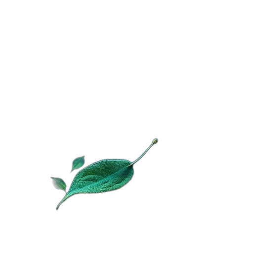 flower, staff, crown, weapon transparent PNG cut-out