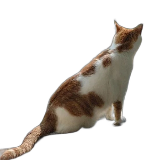 animal, staff, creature, weapon transparent PNG cut-out