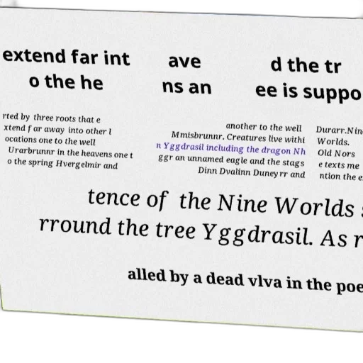 tree, forest, text, foreign transparent PNG cut-out