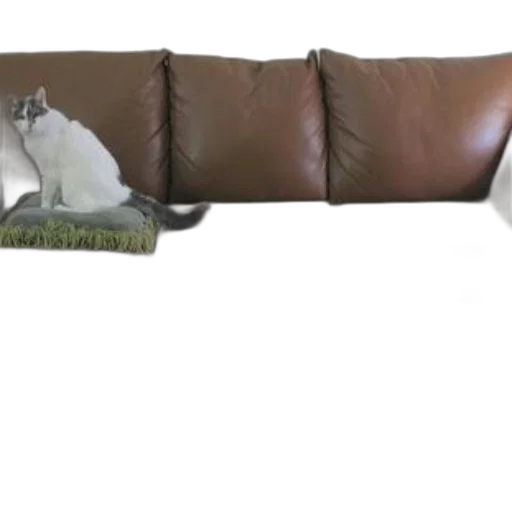 furniture, animal, weapon, 3d render transparent PNG cut-out