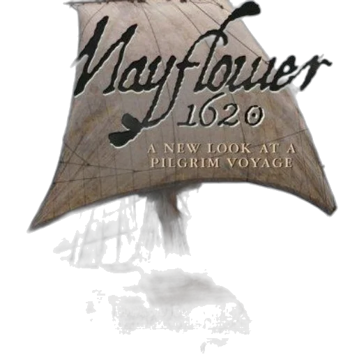 flower, mayflower, 1620, new transparent PNG cut-out