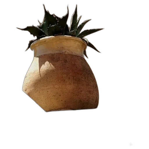 crown, hat, mask, bottle transparent PNG cut-out