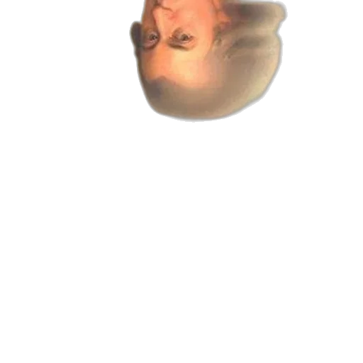 face, mask, hair, creature transparent PNG cut-out