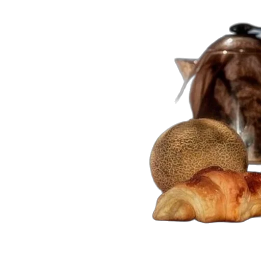 food, animal, hat, hair transparent PNG cut-out