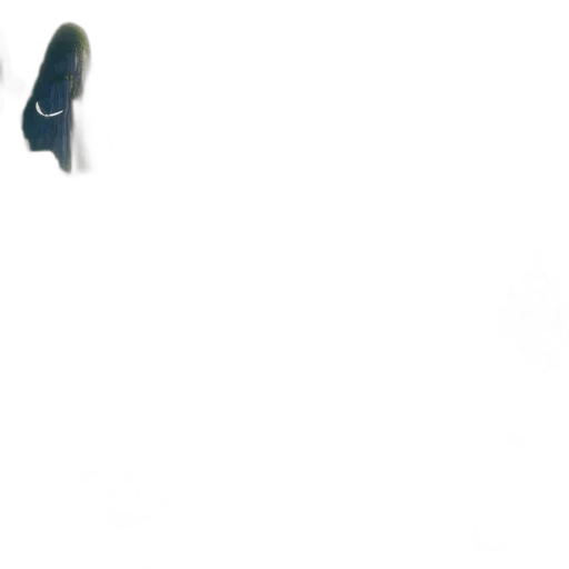 shoes, weapon, dress, bottle transparent PNG cut-out