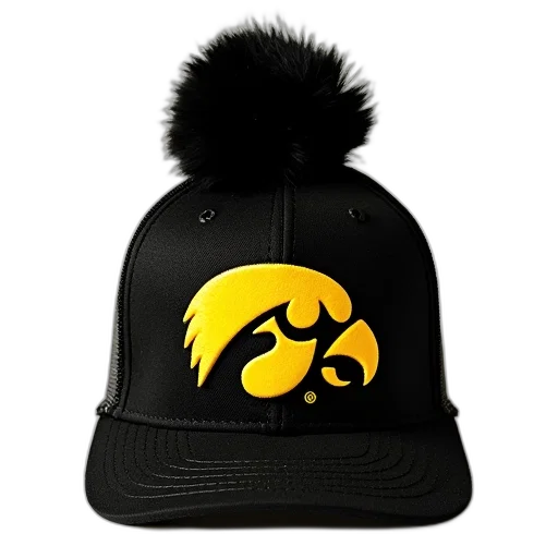 hat, university, iowa, logo transparent PNG cut-out