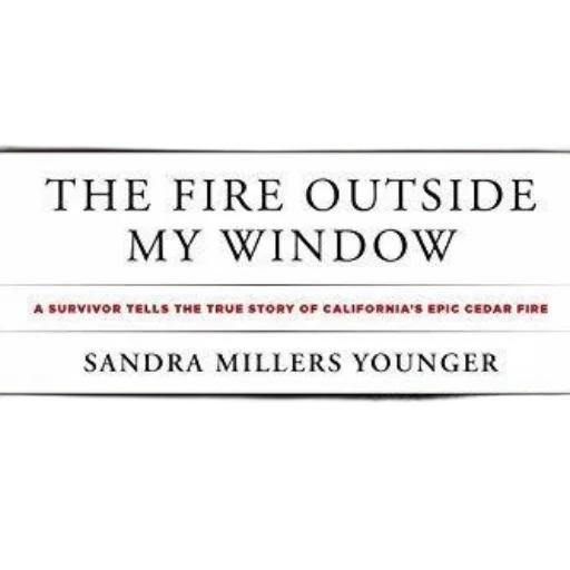 fire, outside, window, book transparent PNG cut-out
