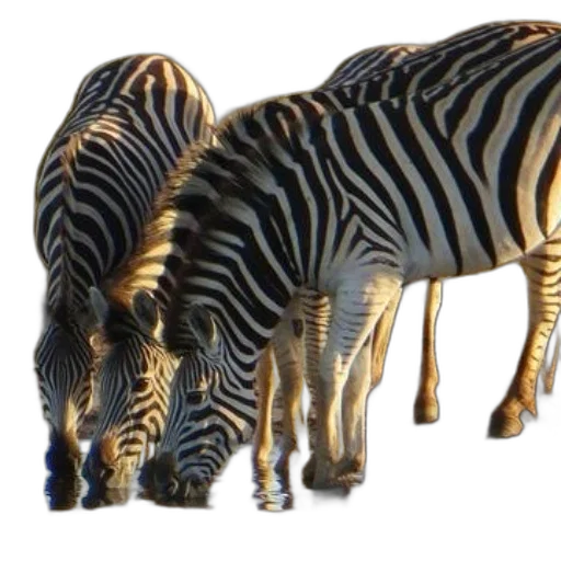 animal, jewelry, furniture, 3d render transparent PNG cut-out