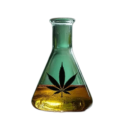 bottle, crown, 3d render, green transparent PNG cut-out