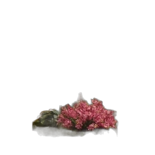 flower, crown, tree, hair transparent PNG cut-out