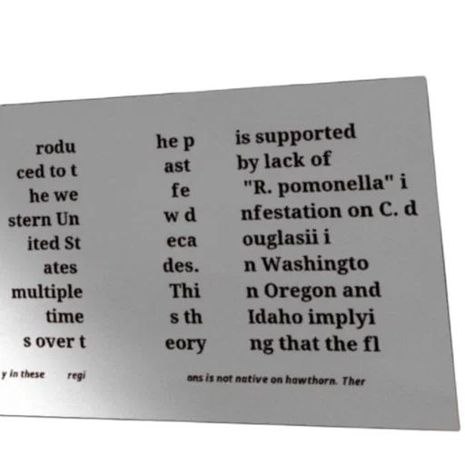 tree, text-based, image, discussing transparent PNG cut-out
