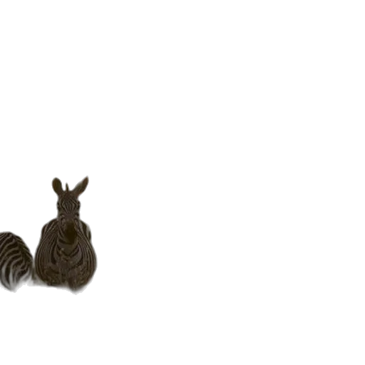 animal, hair, shoes, crown transparent PNG cut-out