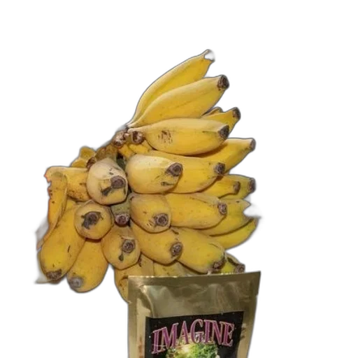 crown, food, weapon, creature transparent PNG cut-out