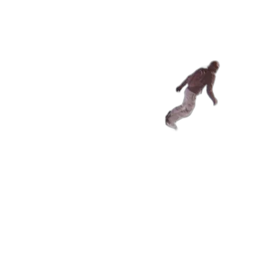 animal, creature, dragon, shoes transparent PNG cut-out