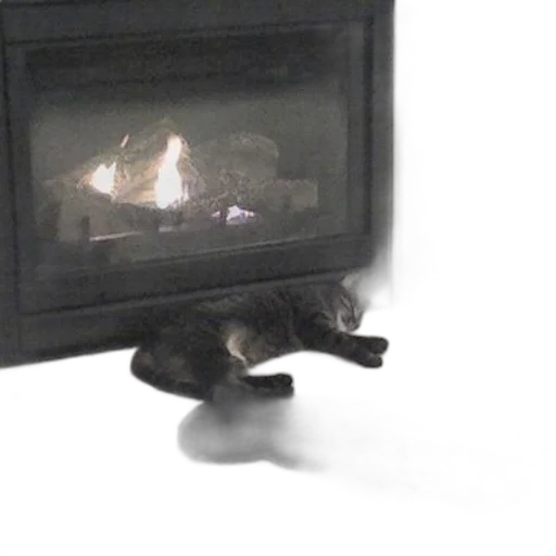creature, furniture, animal, dragon transparent PNG cut-out