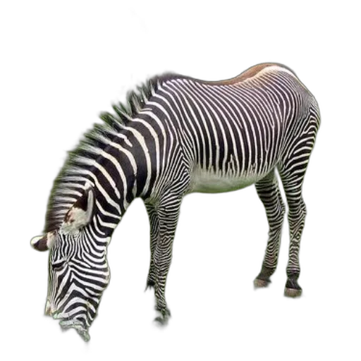 animal, creature, staff, hat transparent PNG cut-out