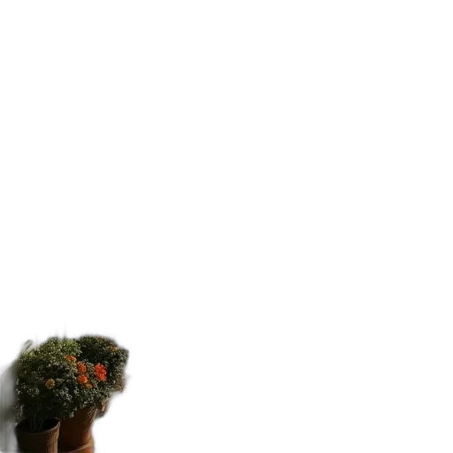 flower, hat, dress, crown transparent PNG cut-out