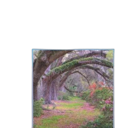 tree, umbrella, dragon, robot transparent PNG cut-out