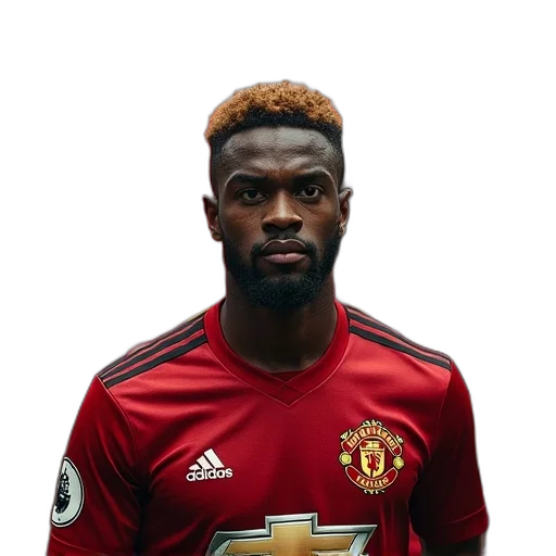 face, animal, manchester, united transparent PNG cut-out