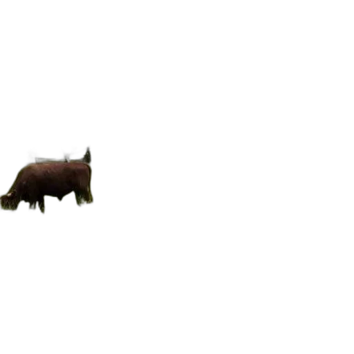animal, creature, weapon, food transparent PNG cut-out