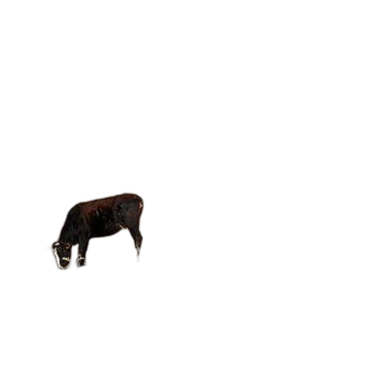animal, creature, food, furniture transparent PNG cut-out