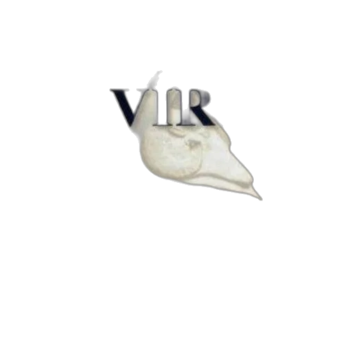 mask, shoes, hat, jewelry transparent PNG cut-out