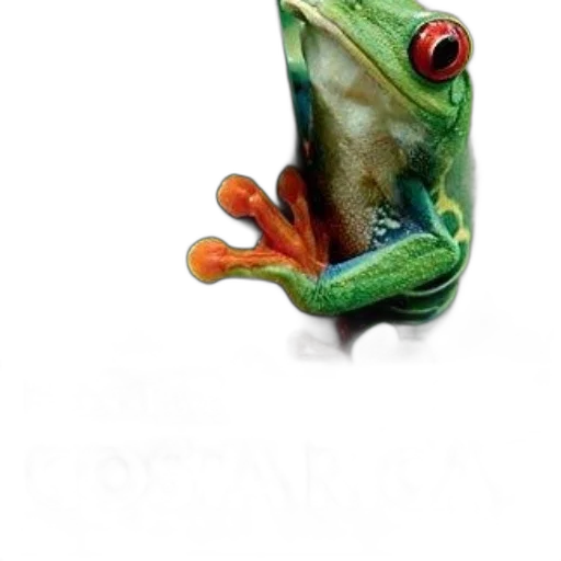 animal, staff, jewelry, creature transparent PNG cut-out