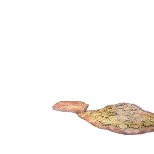 food, hat, shoes, hair transparent PNG cut-out