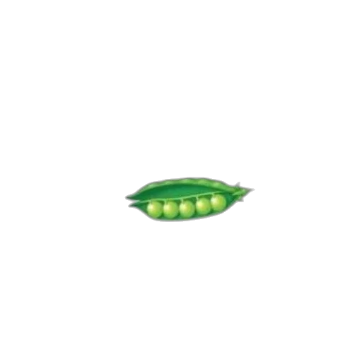 food, animal, weapon, creature transparent PNG cut-out