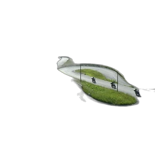 umbrella, bottle, shoes, car transparent PNG cut-out
