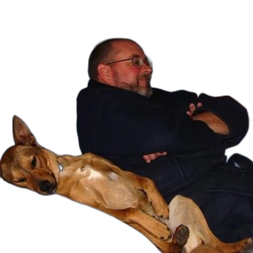 animal, jacket, furniture, staff transparent PNG cut-out