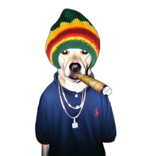 animal, hat, staff, jacket transparent PNG cut-out