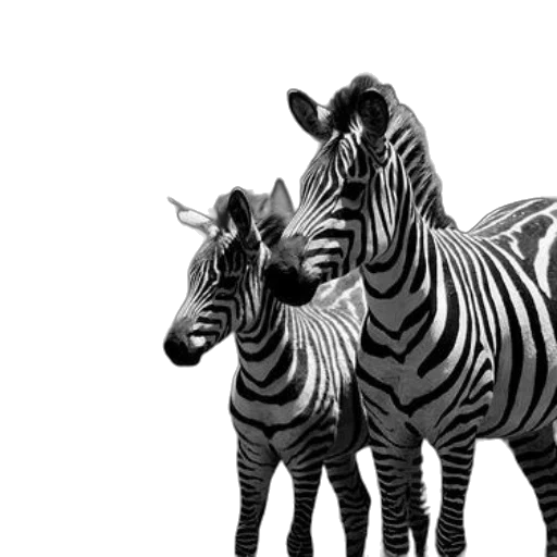 animal, creature, photorealistic, 3d render transparent PNG cut-out