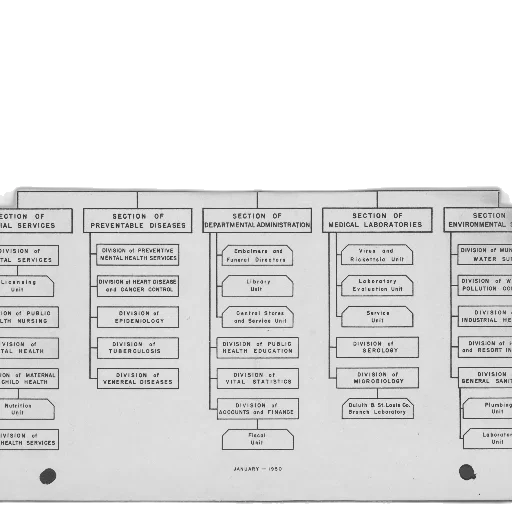 staff, flowchart, minnesota, department transparent PNG cut-out