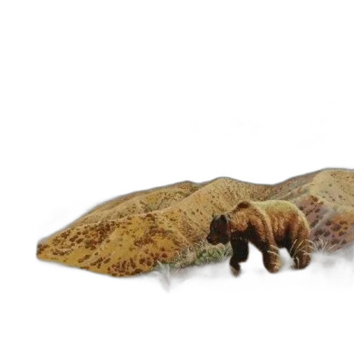 animal, hair, creature, food transparent PNG cut-out
