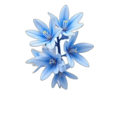 flower, jewelry, crown, staff transparent PNG cut-out