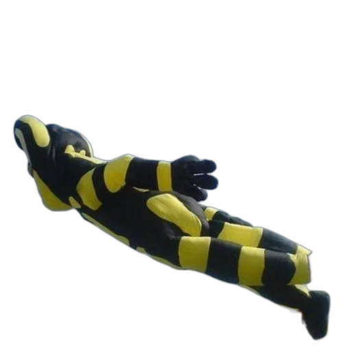 staff, weapon, shoes, animal transparent PNG cut-out