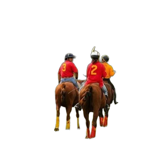 staff, animal, crown, hat transparent PNG cut-out